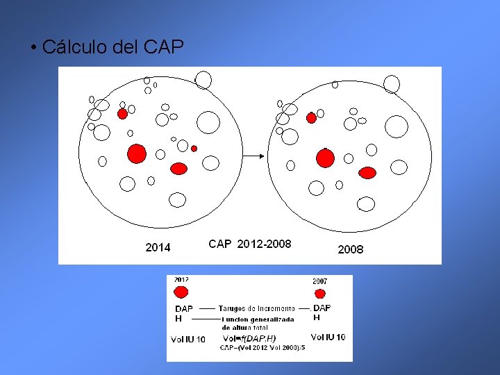  • Cálculo del CAP 