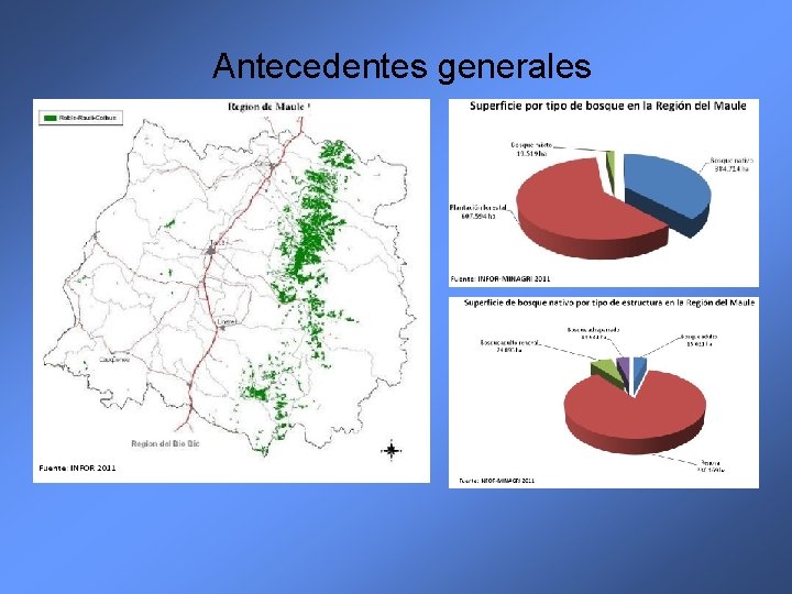 Antecedentes generales 