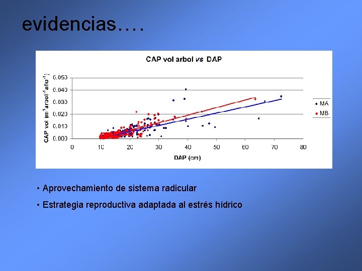 evidencias…. • Aprovechamiento de sistema radicular • Estrategia reproductiva adaptada al estrés hídrico 