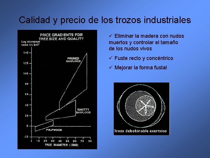 Calidad y precio de los trozos industriales ü Eliminar la madera con nudos muertos