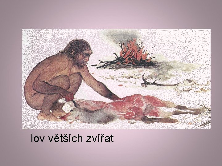 lov větších zvířat 