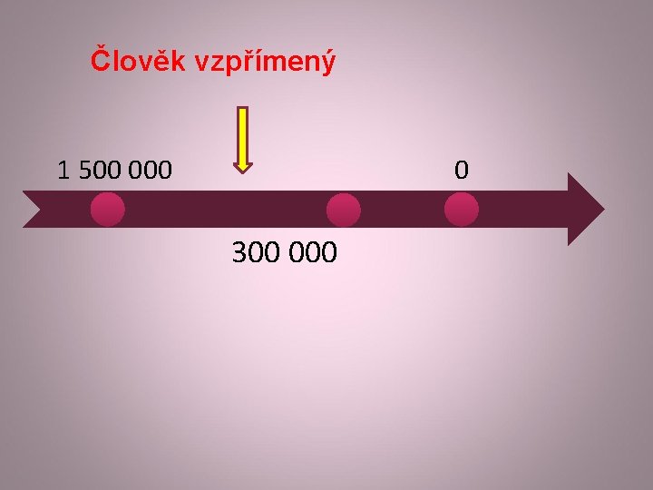 Člověk vzpřímený 1 500 0 300 000 