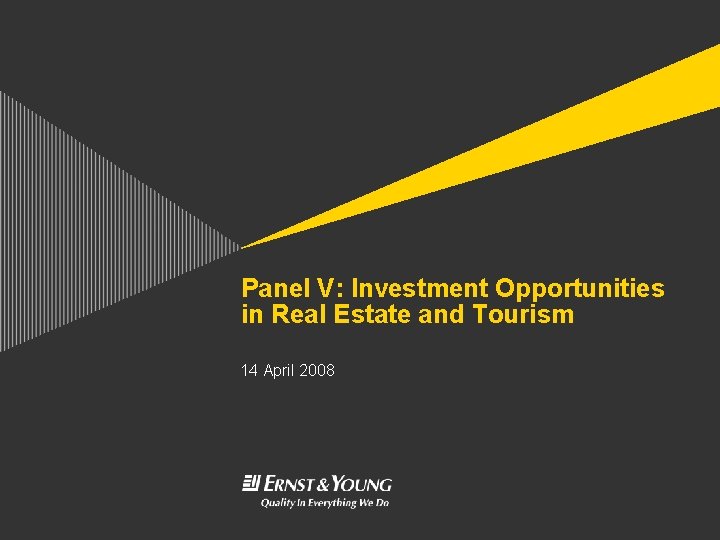 Panel V: Investment Opportunities in Real Estate and Tourism 14 April 2008 