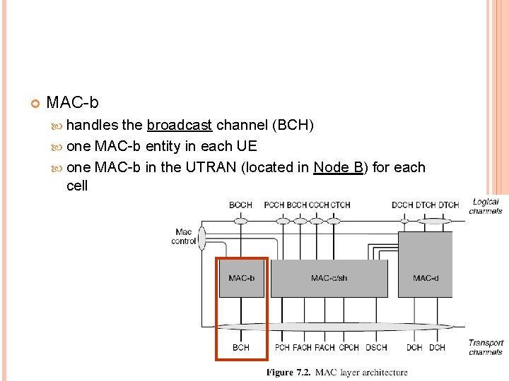  MAC-b handles the broadcast channel (BCH) one MAC-b entity in each UE one