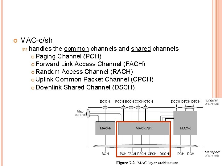  MAC-c/sh handles the common channels and shared channels Paging Channel (PCH) Forward Link