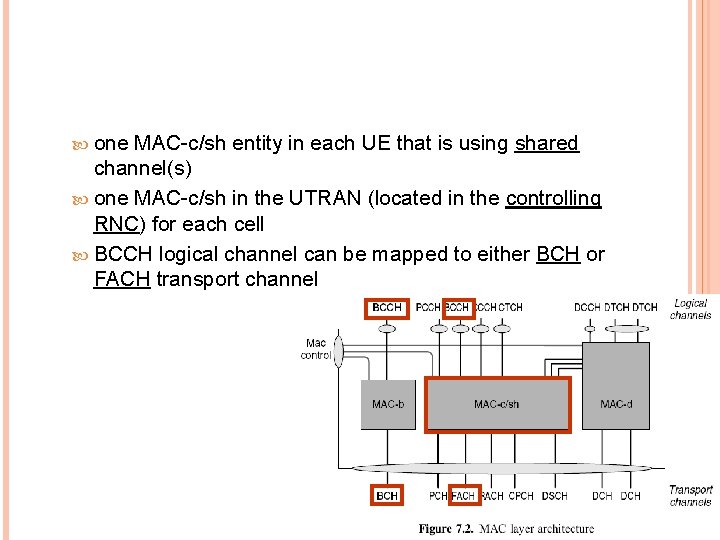  one MAC-c/sh entity in each UE that is using shared channel(s) one MAC-c/sh