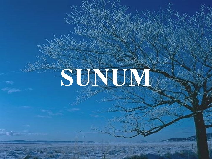 SUNUM 