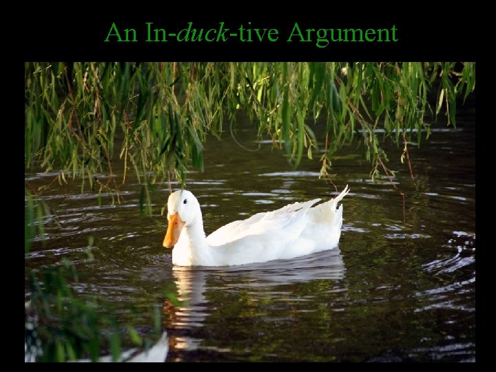 An In-duck-tive Argument 