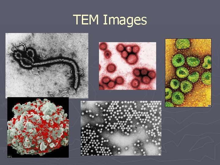 TEM Images 