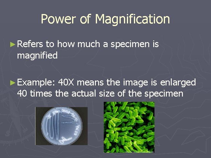 Power of Magnification ► Refers to how much a specimen is magnified ► Example: