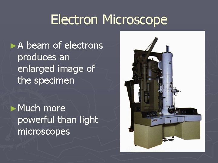 Electron Microscope ►A beam of electrons produces an enlarged image of the specimen ►