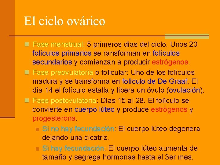 El ciclo ovárico n Fase menstrual: 5 primeros días del ciclo. Unos 20 Fase El ciclo ovárico n Fase menstrual: 5 primeros días del ciclo. Unos 20 Fase