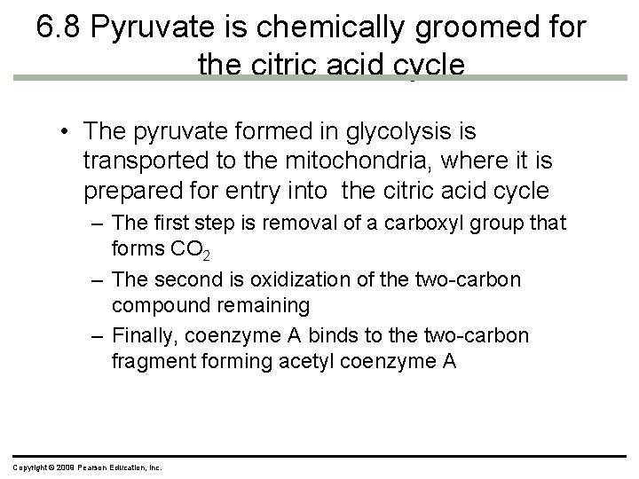 6. 8 Pyruvate is chemically groomed for the citric acid cycle • The pyruvate 6. 8 Pyruvate is chemically groomed for the citric acid cycle • The pyruvate