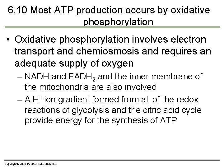 6. 10 Most ATP production occurs by oxidative phosphorylation • Oxidative phosphorylation involves electron 6. 10 Most ATP production occurs by oxidative phosphorylation • Oxidative phosphorylation involves electron
