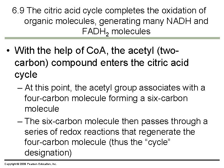 6. 9 The citric acid cycle completes the oxidation of organic molecules, generating many 6. 9 The citric acid cycle completes the oxidation of organic molecules, generating many