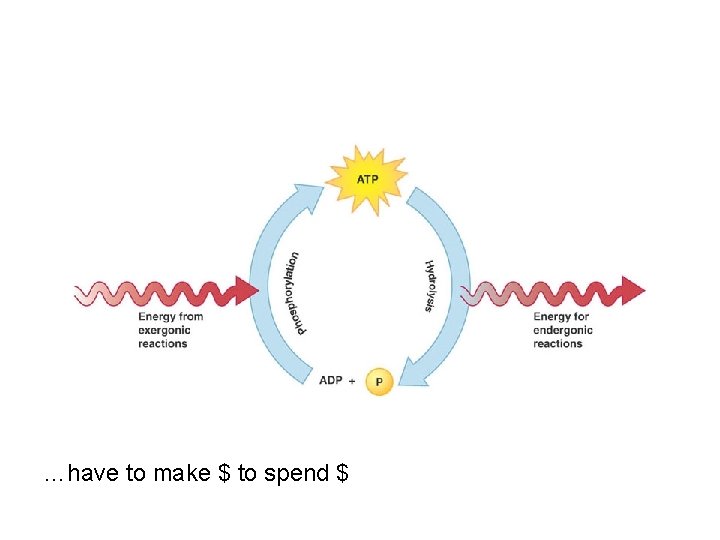 …have to make $ to spend $ …have to make $ to spend $