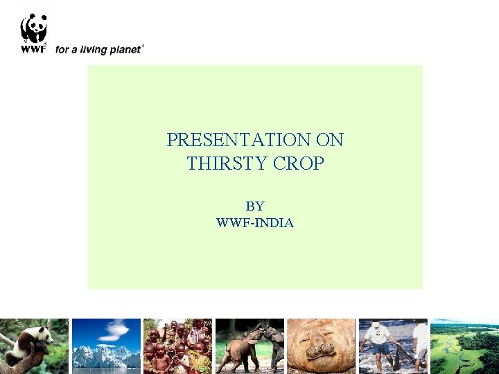 PRESENTATION ON THIRSTY CROP BY WWF-INDIA 