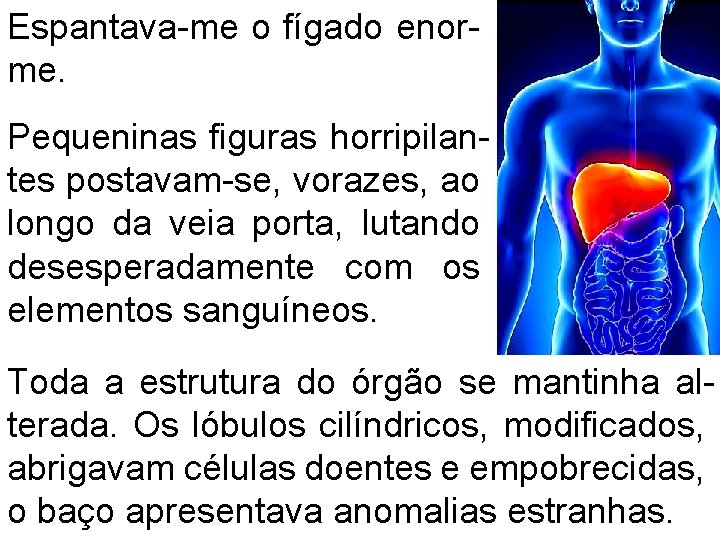 Espantava-me o fígado enorme. Pequeninas figuras horripilantes postavam-se, vorazes, ao longo da veia porta,