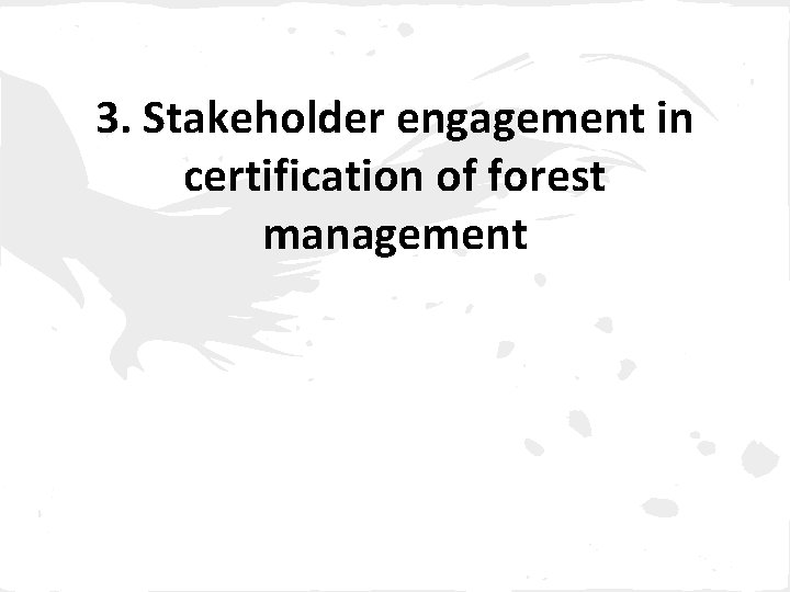 3. Stakeholder engagement in certification of forest management 