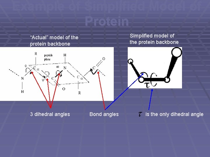 Example of Simplified Model of Protein Simplified model of the protein backbone “Actual” model