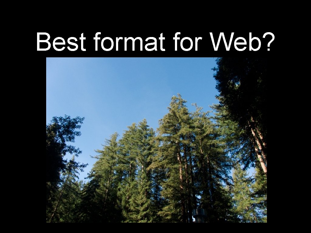 Best format for Web? 