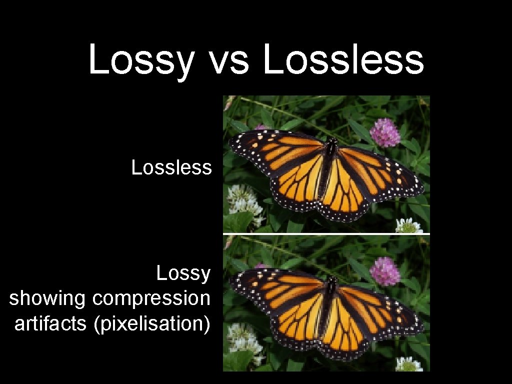 Lossy vs Lossless Lossy showing compression artifacts (pixelisation) 