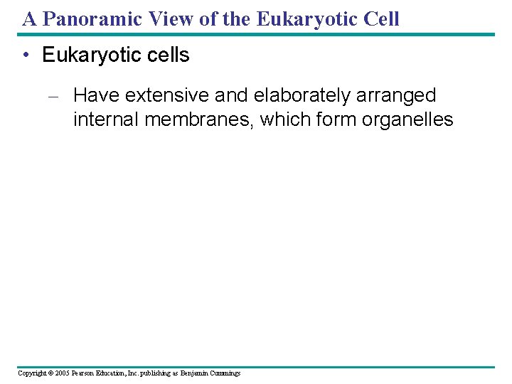 A Panoramic View of the Eukaryotic Cell • Eukaryotic cells – Have extensive and A Panoramic View of the Eukaryotic Cell • Eukaryotic cells – Have extensive and