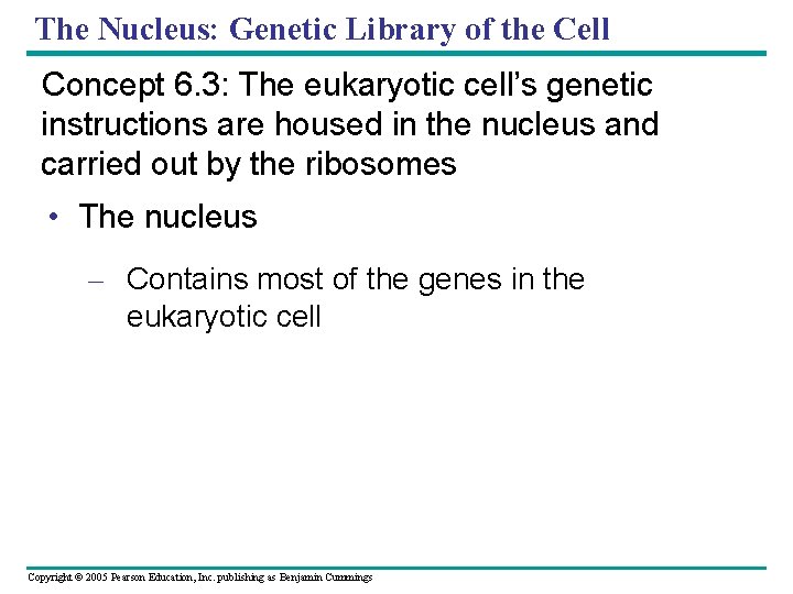 The Nucleus: Genetic Library of the Cell Concept 6. 3: The eukaryotic cell’s genetic The Nucleus: Genetic Library of the Cell Concept 6. 3: The eukaryotic cell’s genetic