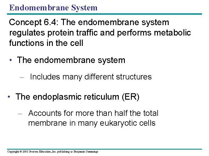Endomembrane System Concept 6. 4: The endomembrane system regulates protein traffic and performs metabolic Endomembrane System Concept 6. 4: The endomembrane system regulates protein traffic and performs metabolic