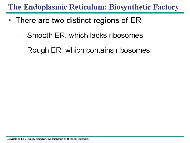 The Endoplasmic Reticulum: Biosynthetic Factory • There are two distinct regions of ER – The Endoplasmic Reticulum: Biosynthetic Factory • There are two distinct regions of ER –