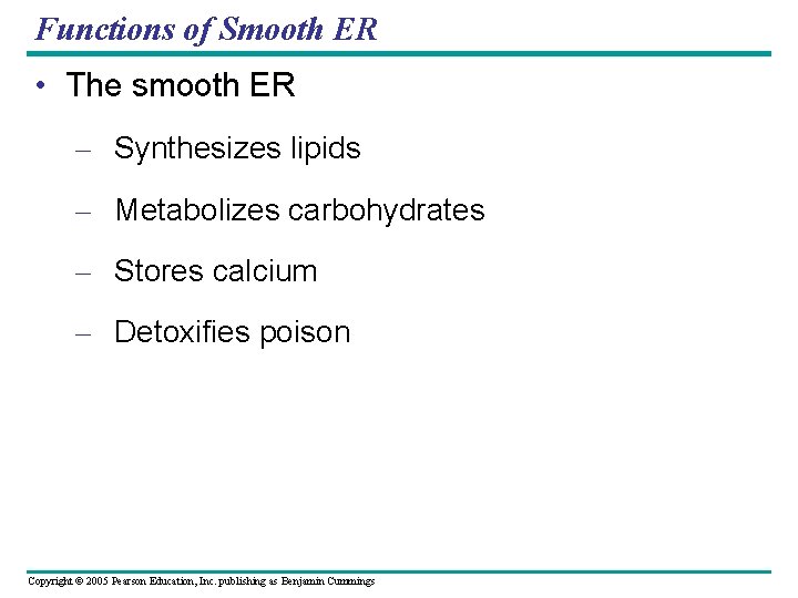 Functions of Smooth ER • The smooth ER – Synthesizes lipids – Metabolizes carbohydrates Functions of Smooth ER • The smooth ER – Synthesizes lipids – Metabolizes carbohydrates