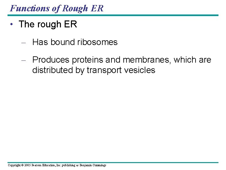 Functions of Rough ER • The rough ER – Has bound ribosomes – Produces Functions of Rough ER • The rough ER – Has bound ribosomes – Produces