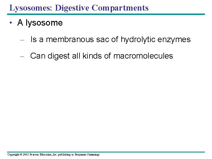 Lysosomes: Digestive Compartments • A lysosome – Is a membranous sac of hydrolytic enzymes Lysosomes: Digestive Compartments • A lysosome – Is a membranous sac of hydrolytic enzymes