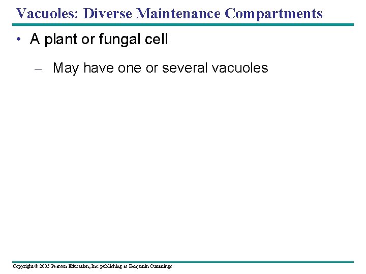 Vacuoles: Diverse Maintenance Compartments • A plant or fungal cell – May have one Vacuoles: Diverse Maintenance Compartments • A plant or fungal cell – May have one