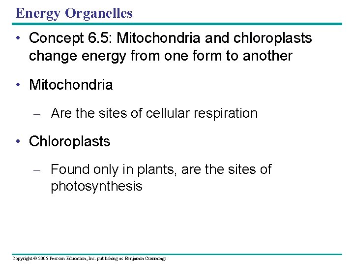 Energy Organelles • Concept 6. 5: Mitochondria and chloroplasts change energy from one form Energy Organelles • Concept 6. 5: Mitochondria and chloroplasts change energy from one form