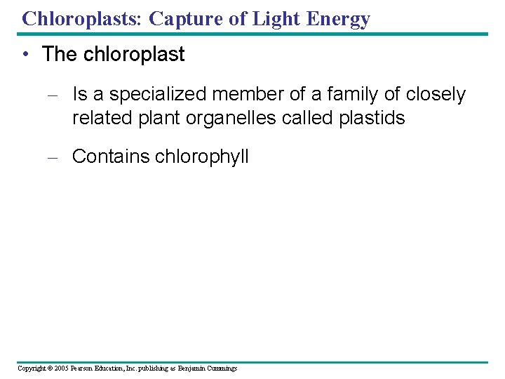 Chloroplasts: Capture of Light Energy • The chloroplast – Is a specialized member of Chloroplasts: Capture of Light Energy • The chloroplast – Is a specialized member of