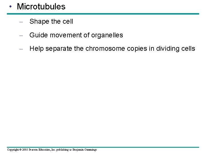 • Microtubules – Shape the cell – Guide movement of organelles – Help • Microtubules – Shape the cell – Guide movement of organelles – Help