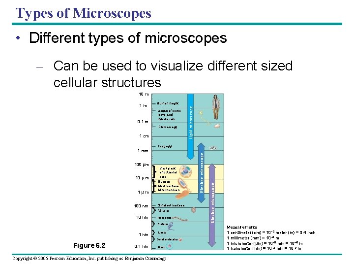 Types of Microscopes Unaided eye • Different types of microscopes – Can be used Types of Microscopes Unaided eye • Different types of microscopes – Can be used