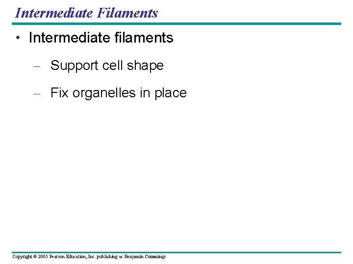 Intermediate Filaments • Intermediate filaments – Support cell shape – Fix organelles in place Intermediate Filaments • Intermediate filaments – Support cell shape – Fix organelles in place