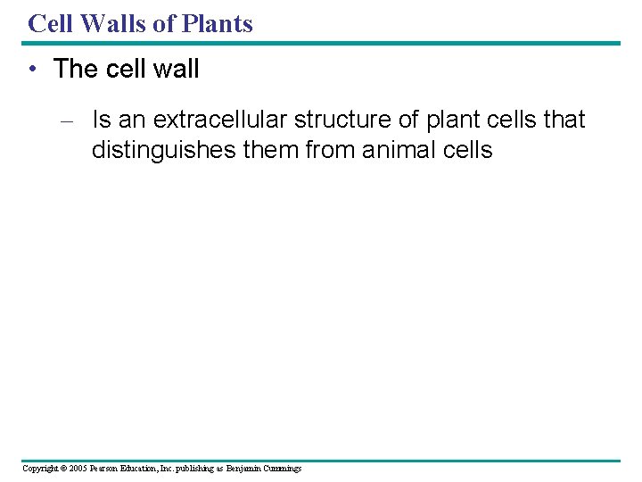 Cell Walls of Plants • The cell wall – Is an extracellular structure of Cell Walls of Plants • The cell wall – Is an extracellular structure of