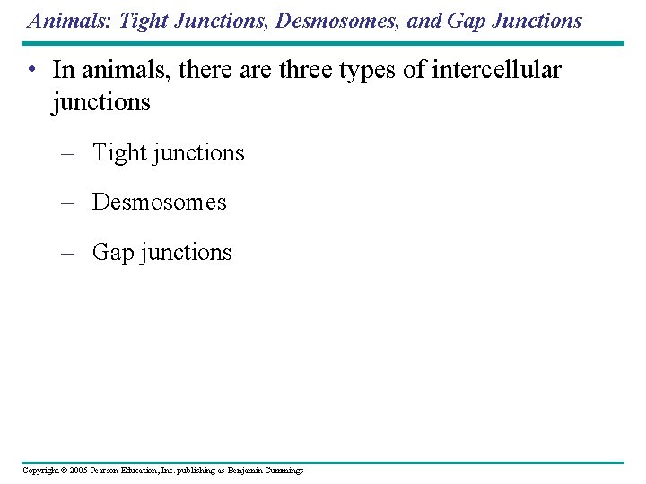 Animals: Tight Junctions, Desmosomes, and Gap Junctions • In animals, there are three types Animals: Tight Junctions, Desmosomes, and Gap Junctions • In animals, there are three types