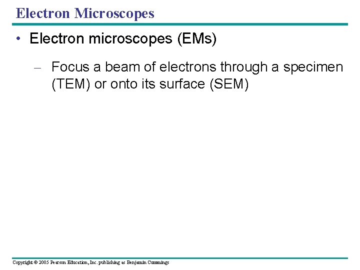 Electron Microscopes • Electron microscopes (EMs) – Focus a beam of electrons through a Electron Microscopes • Electron microscopes (EMs) – Focus a beam of electrons through a
