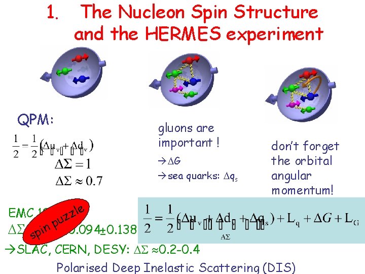 1. The Nucleon Spin Structure and the HERMES experiment QPM: gluons are important !