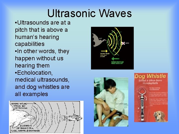 Sound And Light See And Hear The Wave