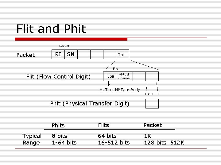 Flit and Phit Packet RI SN Tail Flit (Flow Control Digit) Type Virtual Channel