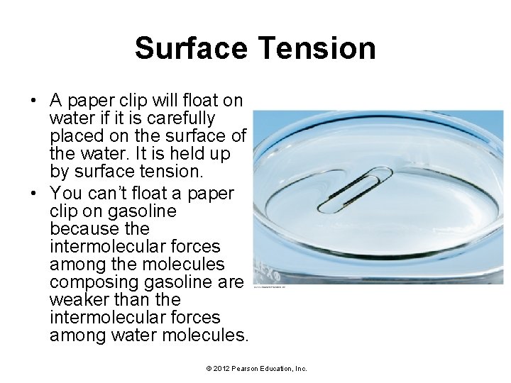 Surface Tension • A paper clip will float on water if it is carefully