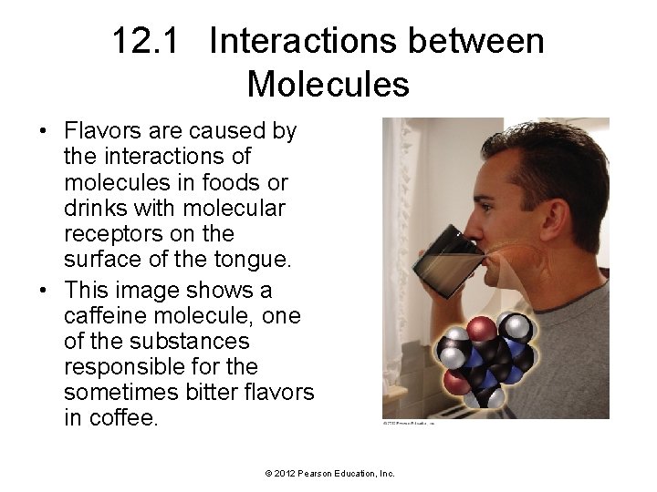 12. 1 Interactions between Molecules • Flavors are caused by the interactions of molecules