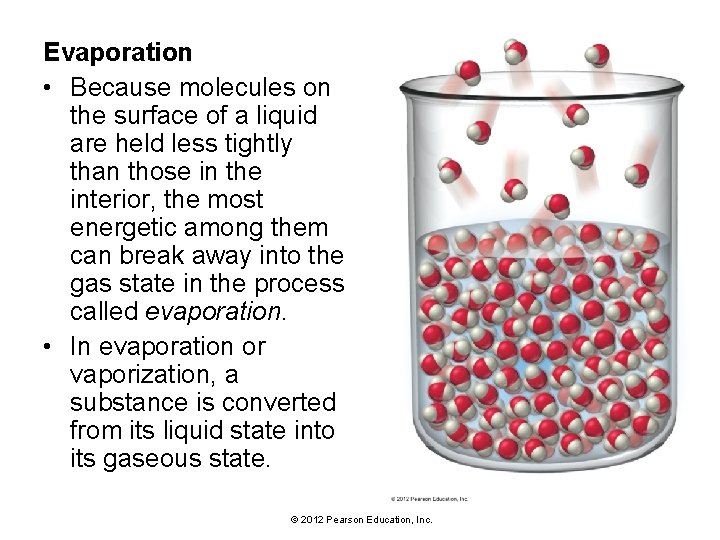 Evaporation • Because molecules on the surface of a liquid are held less tightly