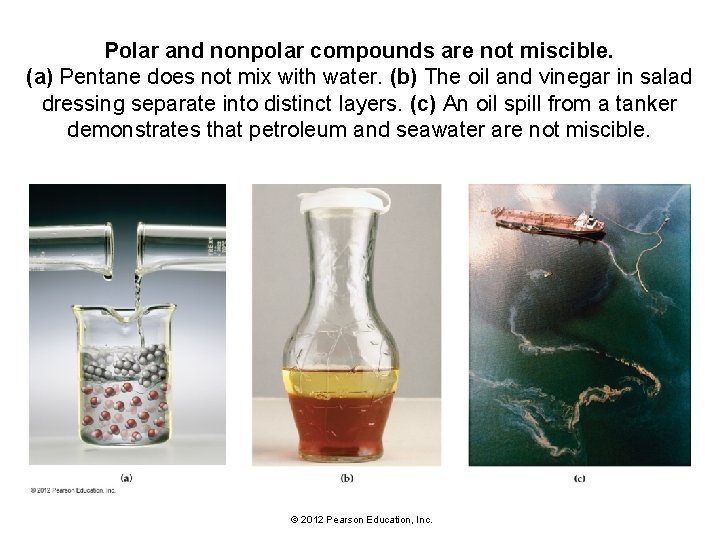 Polar and nonpolar compounds are not miscible. (a) Pentane does not mix with water.