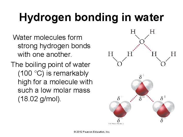 Hydrogen bonding in water Water molecules form strong hydrogen bonds with one another. The